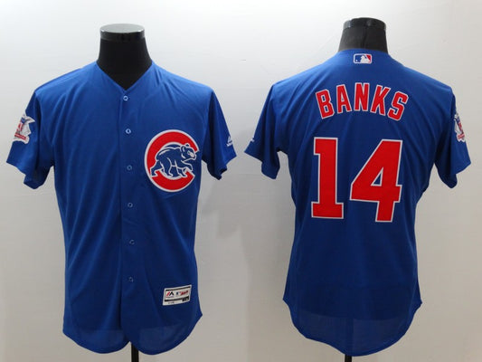 Men/Women/Youth Chicago Cubs Ernie banks NO.14 baseball Jerseys