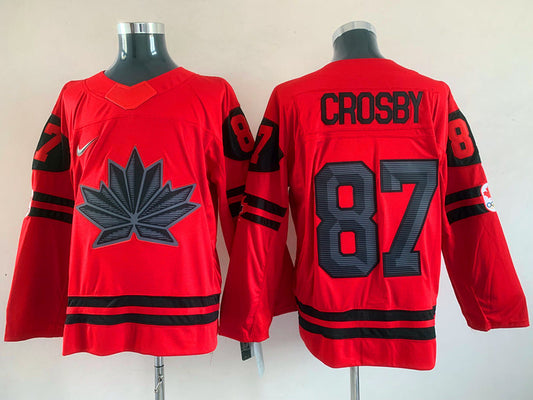Washington Capitals Sidney Crosby #87 Hockey jerseys